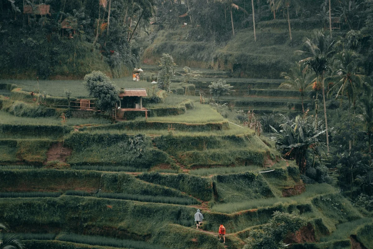 Bali (Indonesia)